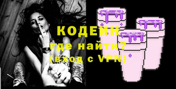 молекула духа Сясьстрой