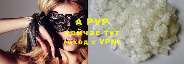 винт Тавда