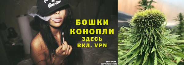 винт Тавда