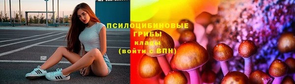 хмурый Струнино