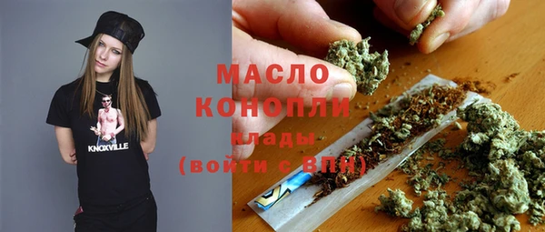 молекула духа Сясьстрой
