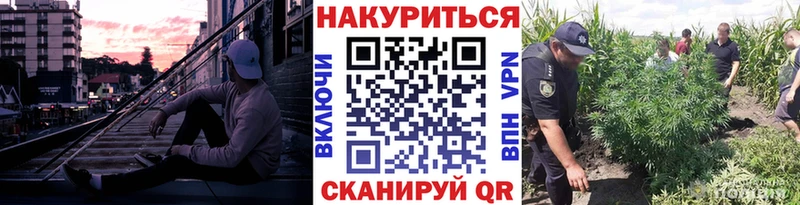 Каннабис THC 21%  Купить закладки  Барнаул 